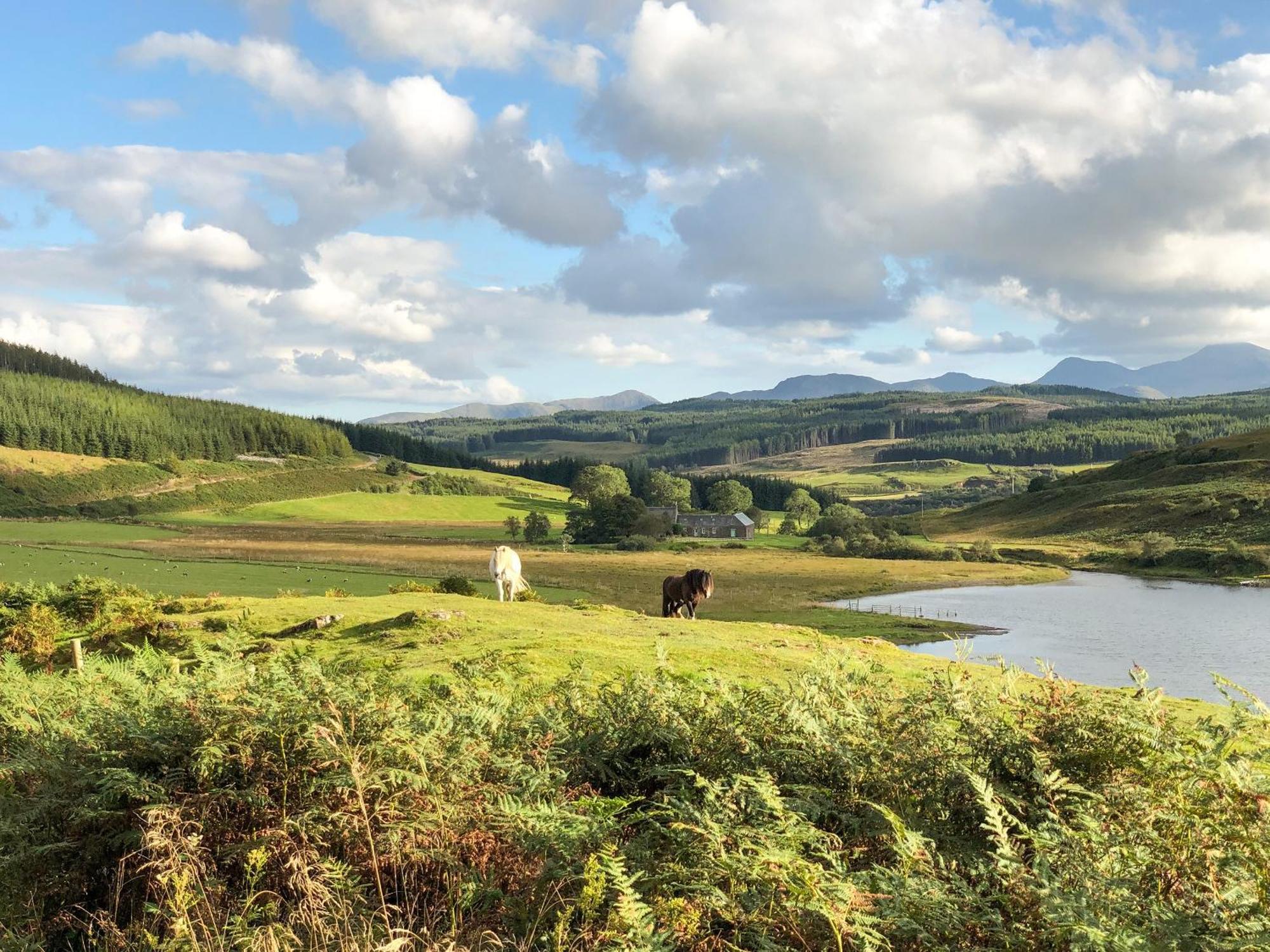 Ledmore Villa Ardnacross Farm ภายนอก รูปภาพ